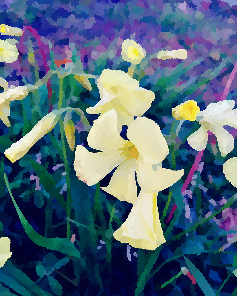 Yellow bells